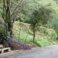 Usd 299444,  Massive Mountain Estate For Sale. Salitral Santa Ana Costa Rica.