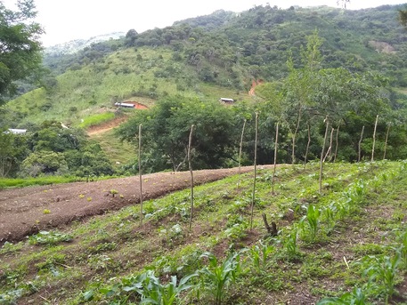 San José, Farm & Garden, Usd 299444,  Massive Mountain Estate For Sale. Salitral Santa Ana Costa Rica.