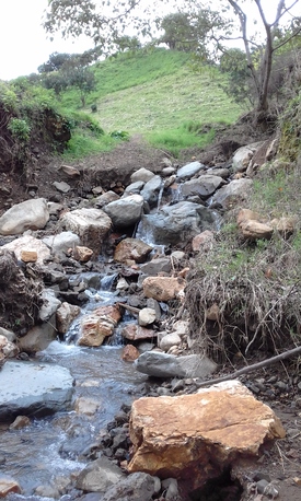 San José, Farm & Garden, Usd 299444,  Massive Mountain Estate For Sale. Salitral Santa Ana Costa Rica.