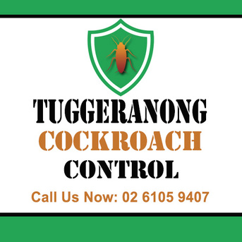Sydney, Pest Control, Tuggeranong Cockroach Control