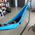 BHD 10,  Universal Indoor/Outdoor Double Hammock Stand And Canvas/Cloth Hammock