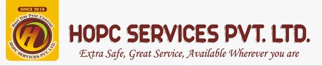 Ahmedabad, Pest Control, Pest Control Services In Ahmedabad | Affordable & Reliable