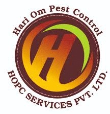 Ahmedabad, Pest Control, Pest Control Services In Ahmedabad | Affordable & Reliable
