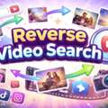 Reverse Video Search