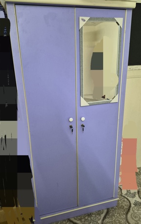 Abha, Household Items, SAR 250,  2 DOOR WARDROBE