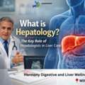 What Is Hepatology? Expert Liver Care - Harmony