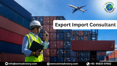 Noida, Legal, Expert Export Import Consultant Services | Exim Advisory