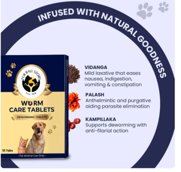 Gurgaon, Pet Sitting, Say Goodbye To Worms, Naturally!