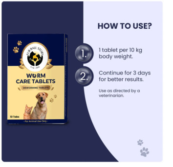 Gurgaon, Pet Sitting, Say Goodbye To Worms, Naturally!