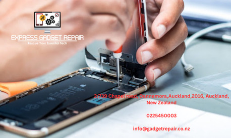 Auckland, Technical, Best IPhone Repair Service In Parnell -repair Service