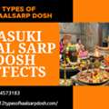 Solve Life Challenges With Vasuki And Anant Kaal Sarp Dosh Puja