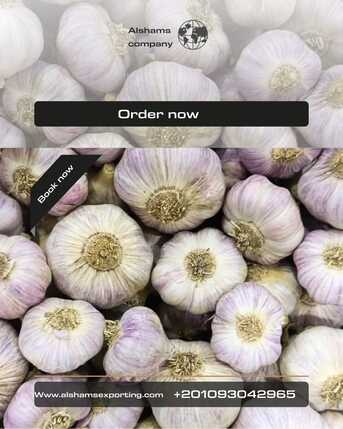 Rio de Janeiro, Farm & Garden, FRSH GARLIC