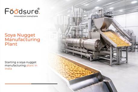 Lucknow, Creative, How To Start A Soya Nugget Manufacturing Plant (Step-by-Step)