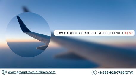 New York, Travel, How To Book A Group Flight Ticket With KLM?