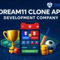 Affordable Dream11 Clone App Development Company