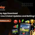 Fairplay App Download: Follow Live Cricket Updates And Betting Odds