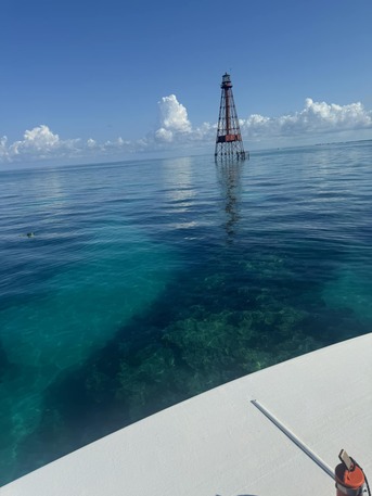 New York, Travel, Starfish Marathon Snorkeling Tours FL