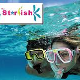 New York, Travel, Starfish Marathon Snorkeling Tours FL