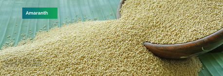New York, Food, Shyam Industries &ndash; Global Exporter Of High-Quality Sesame Seeds