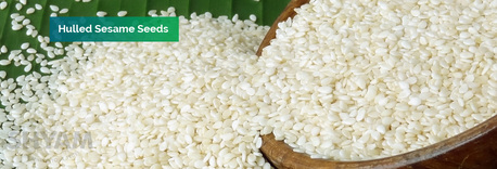 New York, Food, Shyam Industries &ndash; Global Exporter Of High-Quality Sesame Seeds