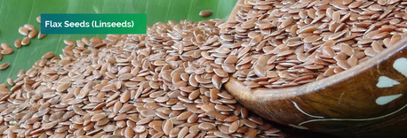 New York, Food, Shyam Industries &ndash; Global Exporter Of High-Quality Sesame Seeds