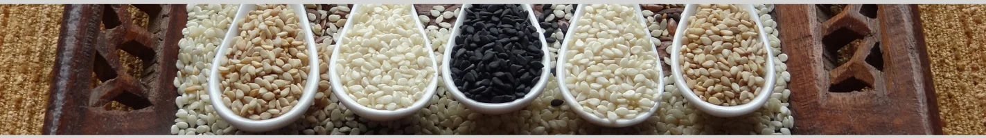 New York, Food, Shyam Industries &ndash; Global Exporter Of High-Quality Sesame Seeds
