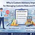 Custom Advisory For Risk Control | Exim Advisory