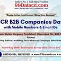 Get Complete List Of Companies In Delhi NCR - B2B Database