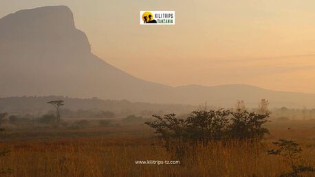 Quebec City, Travel, Affordable Kilimanjaro Climb & Wildlife Safari Deals | Kilitrips Tanzania