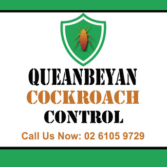 Sydney, Pest Control, Queanbeyan Cockroach Control