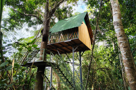 New York, Travel, Sandoval Lake Tambopata 3 Days Tour &ndash; Macaw Clay Lick & Amazon Jungle Experience | Tree Ho