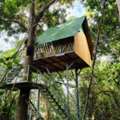 Sandoval Lake Tambopata 3 Days Tour &ndash; Macaw Clay Lick & Amazon Jungle Experience | Tree Ho