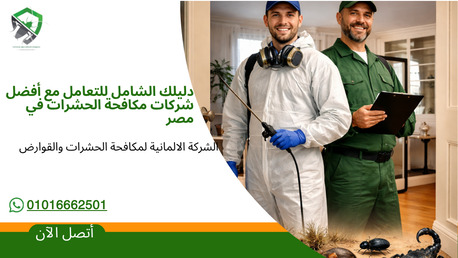 Cairo, Cleaning, شركات رش البق | اسباب ظهور حشرة البق؟ | تعرف ع