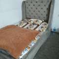 SAR 400,  Bed For Sale Along With Spring Mattress