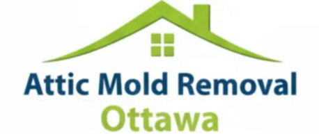 Ottawa, Real Estate, Attic Mold Removal Ottawa