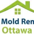 Attic Mold Removal Ottawa