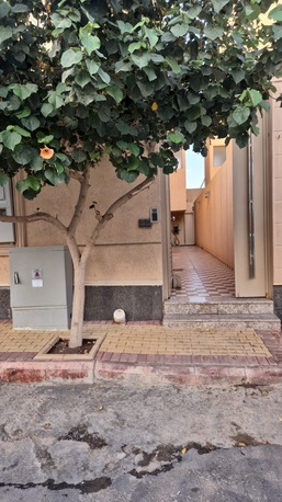 Irqah, Apartments/Houses, SAR 60000/year,  3 BR,  Riyadh - Spacious Semi-Furnished Apartment In Arqa District &ndash; Private Entrance