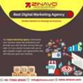 Digital Marketing Company In Bangalore | Zinavo