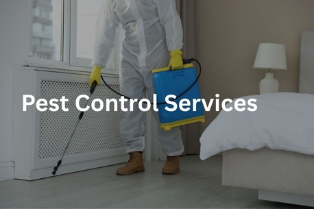 Sydney, Pest Control, Affordable Pest Control In Guildford | Call Pest Blaster