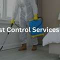 Affordable Pest Control In Guildford | Call Pest Blaster