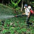 Pest Control In Auburn | Clean & Safe Pest Solutions