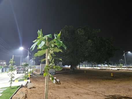 Hyderabad, Residential Plots, INR 21000,  146 Sq. Yard,  HMDA & RERA APPROVED OPEN PLOTS IN EXIT 12 RAMDHASPALLY @ 9392311420