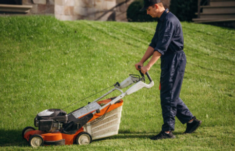 New York, Business, Professional Lawn Care Springfield VA &ndash; Reliable Weekly Yard Service