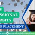 Lovely Professional University Distance Placement