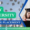 Amity University Distance Placement