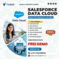 Best Salesforce Data Cloud Course | Online Training