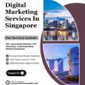 Best Digital Marketing Services In Singapore - Pink Shadow Media