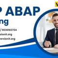 SAP ABAP Training In Bangalore At Version IT