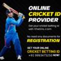 Online Cricket ID Provider | THE TIIS