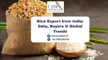 Lucknow, Business, Rice Export From India: Data, Buyers & Global Trends
